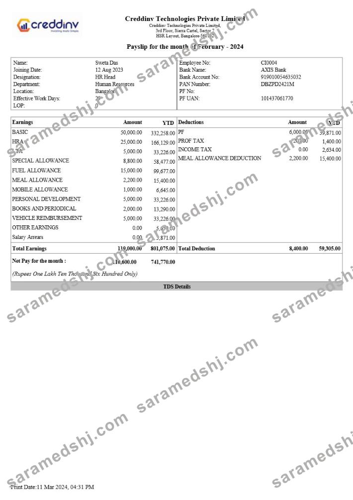 Creddinv Technologies payslip template in Word and PDF formats.pdf, 1